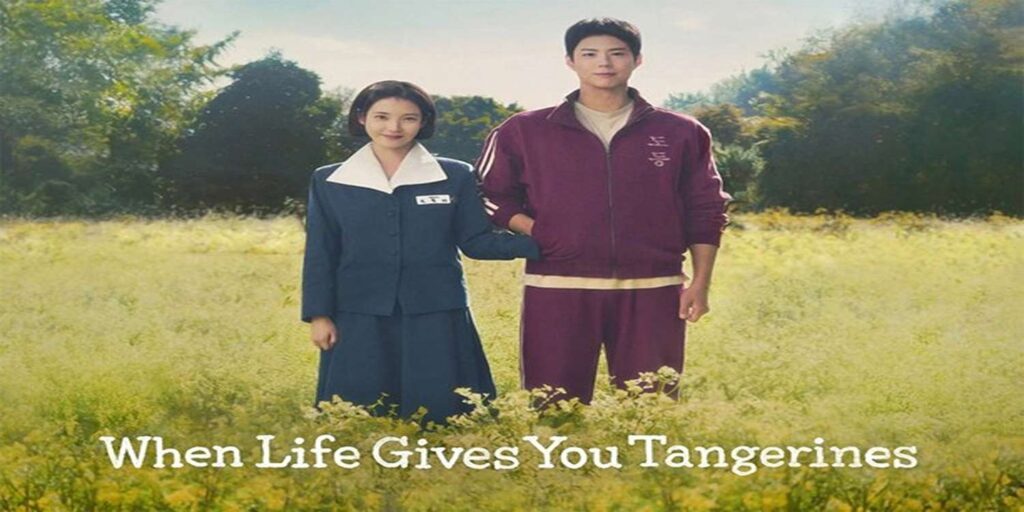Tangerines featured